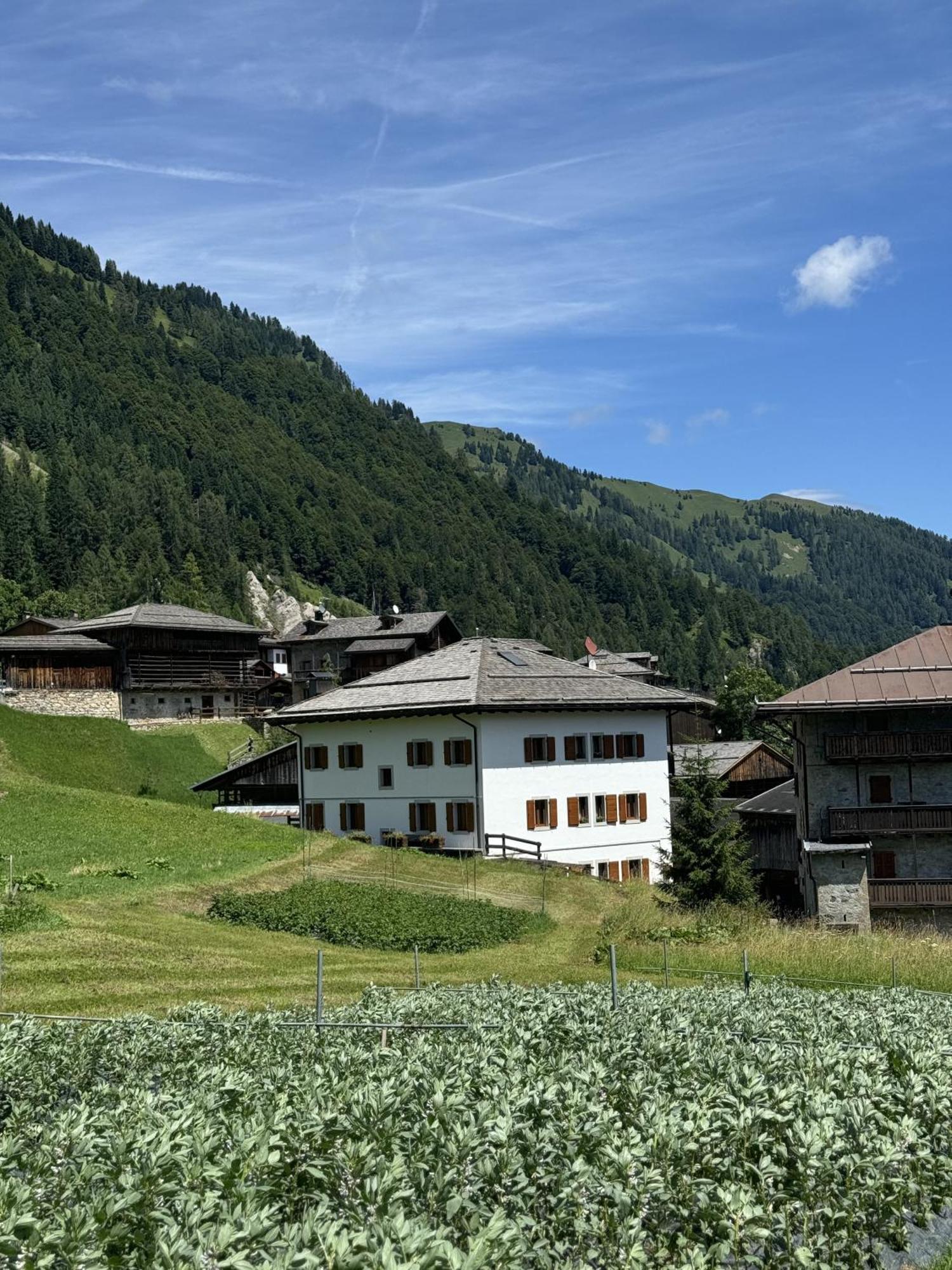 Neider Hotel - Alpine Retreat סאוריס מראה חיצוני תמונה