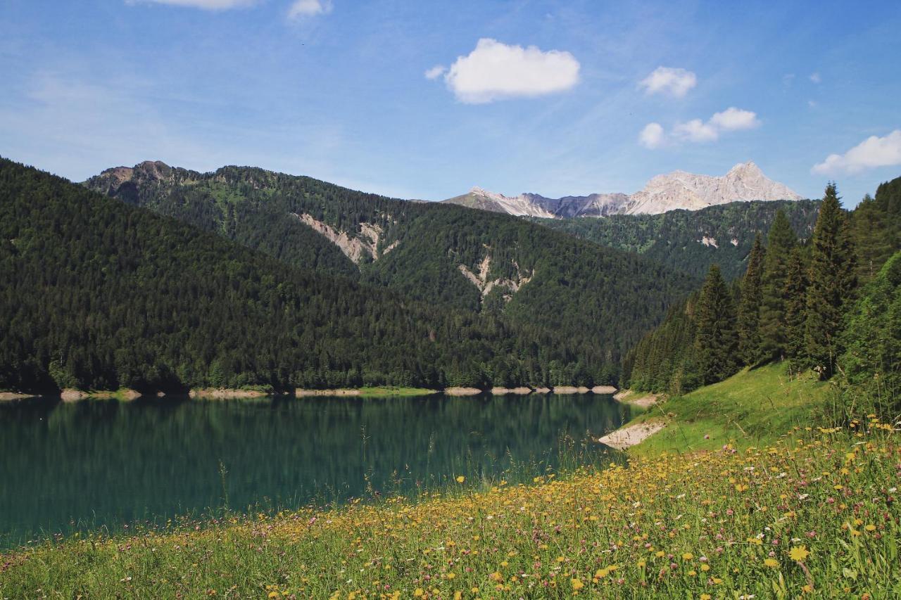 Neider Hotel - Alpine Retreat סאוריס מראה חיצוני תמונה